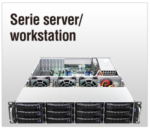 Server/WS